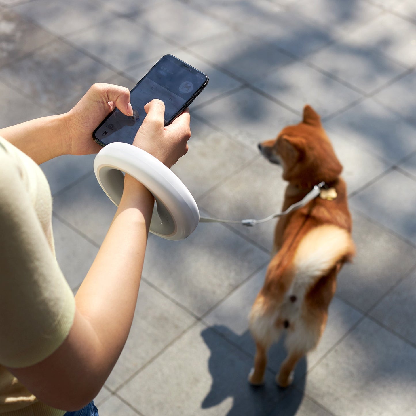 UFO Retractable Leash